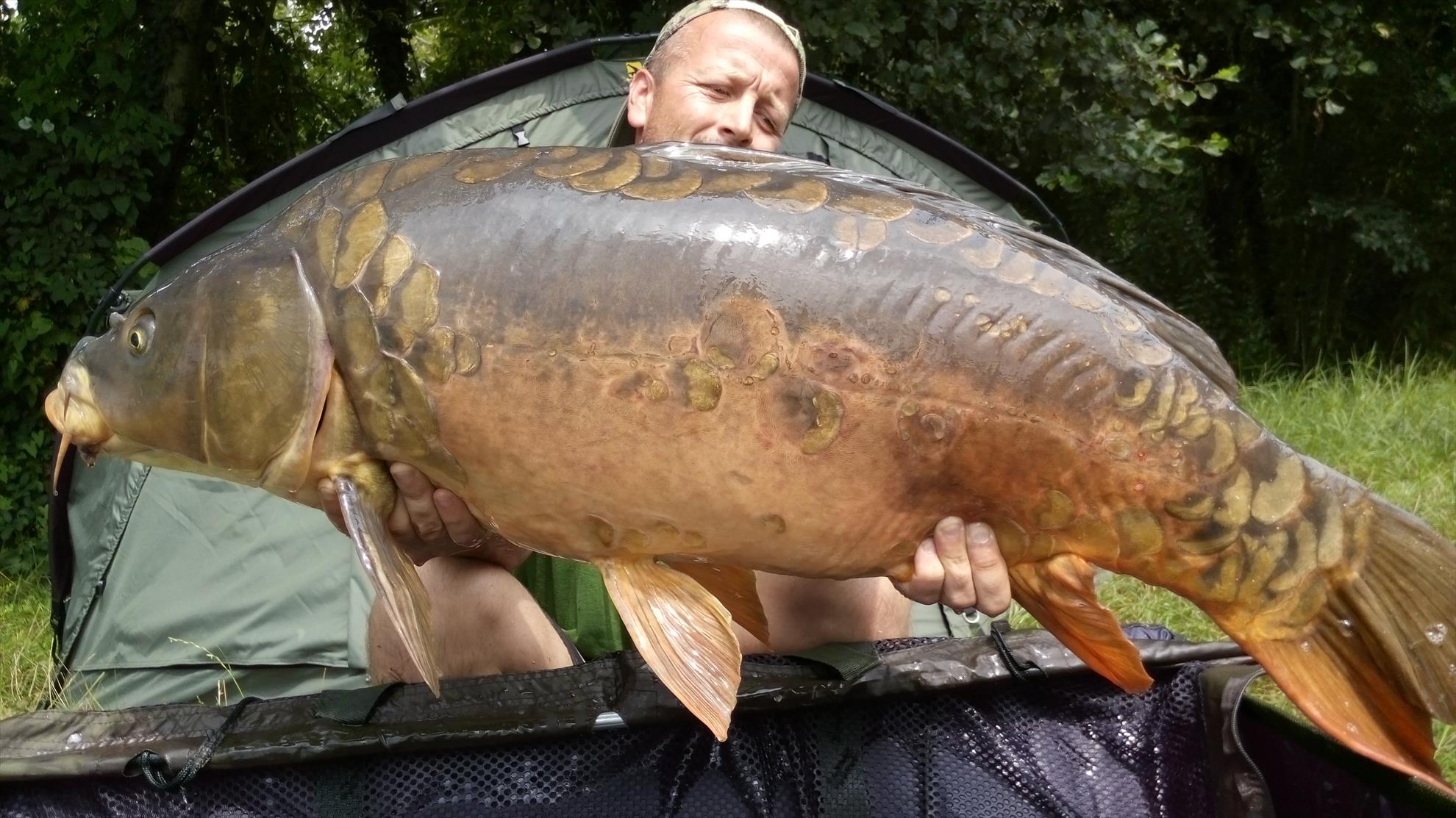 Viverone 2014 - img20140810124835.jpg